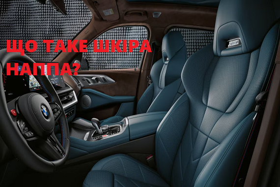 Що таке шкіра Наппа - цікаві факти, використання, характеристики